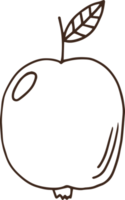 illustration de conception clipart fruits dessinés à la main png