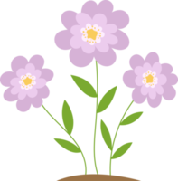 ilustração de design de clipart de flores png