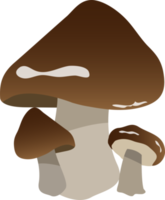 illustrazione di progettazione di clipart di funghi png