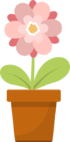 Flower in pot clipart design illustration png