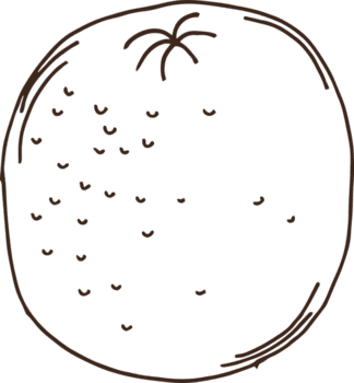 dibujado a mano frutas clipart diseño ilustración png