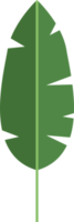 illustrazione di progettazione clipart foglie tropicali png