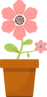 Flower in pot clipart design illustration png