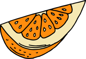 handritad frukt clipart design illustration png
