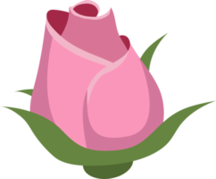 rose éléments clipart conception illustration png