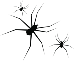 ilustração de design de clipart de aranha png