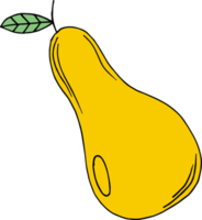 dibujado a mano frutas clipart diseño ilustración png