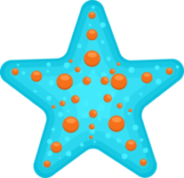 illustrazione di progettazione di clipart di stelle marine di mare png