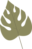 Ilustración de diseño de imágenes prediseñadas de hojas tropicales png