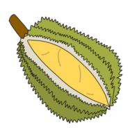 durian thai färsk frukt png