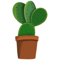 pianta di cactus in vaso png