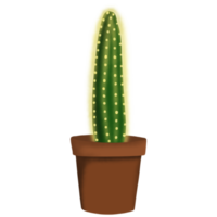 kaktusväxt i kruka png