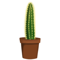 pianta di cactus in vaso png