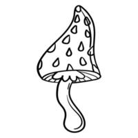 Doodle sticker poisonous, inedible toadstool mushrooms vector