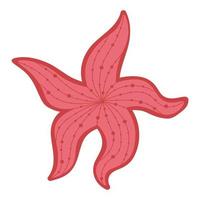 Tropical starfish. Doodle flat clipart. All objects are repainted. vector