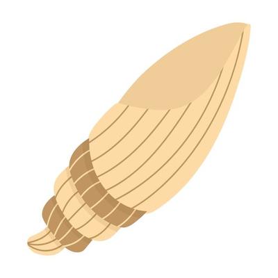 Tropical underwater shell. Doodle flat clipart. All objects are repainted.