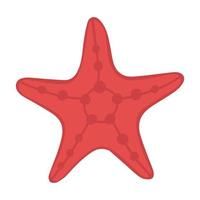 Tropical starfish. Doodle flat clipart. All objects are repainted. vector