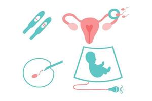Obstetrics icons set. Ultrasound, artificial fertilization, pregnancy, fetus, intrauterine insemination, pregnancy test. vector