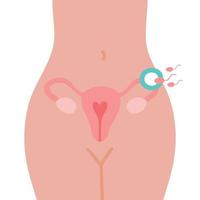 Fertilization icon. Uterus, sperm, insemination. Fertilization in the fallopian tube. Embryology. vector