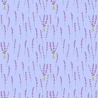 Seamless pattern lavender flowers pattern on a blue background.Floral vector pattern