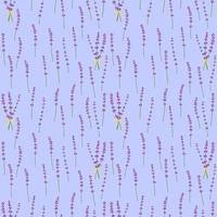 Seamless pattern lavender flowers pattern on a blue background.Floral vector pattern