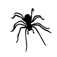 Silhouette of spider isolated on white vector