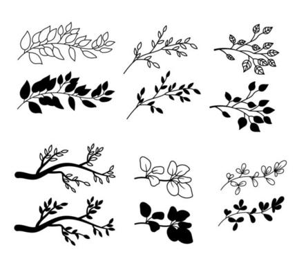 A set of branches with leaves. Silhouettes and outlines. Vector objects are isolated, hand drawn