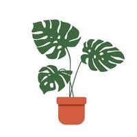 planta en maceta monstera vector