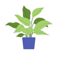 planta en maceta en estilo plano aislado sobre fondo blanco vector