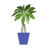 planta de la casa y flor en maceta aislado en blanco vector