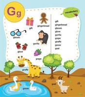 Alphabet Letter G education vocabulary illustration, vector