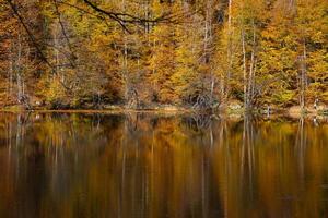 Buyuk Lake in Yedigoller National Park, Bolu, Turkey photo