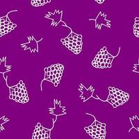 grapes seamless pattern hand drawn in doodle. fruits in a simple line style. vector