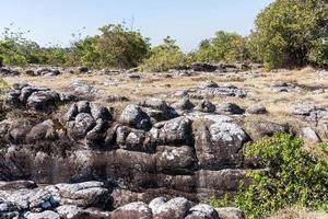 Sandstone node rift. photo