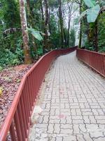 Concrete brick pathway with the metal railing. photo