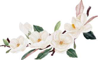 watercolor white magnolia flower and leaf branch bouquet png