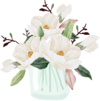 acuarela blanco magnolia floreciendo flor rama ramo en jarrón de vidrio clipart png