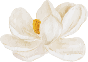 éléments de bouquet de fleurs et de feuilles de magnolia blanc aquarelle png