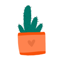 cactus plant illustratie png