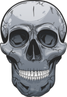 Skull clipart design illustration