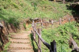 Stone brick pathway with the wooden rail. photo