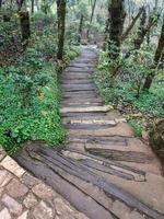 Timber staircase along the pathway. photo