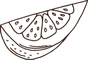 illustration de conception clipart fruits dessinés à la main png