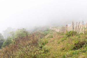 Light fog near the campground. photo