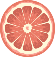 Citrus clipart design illustration png