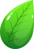 Realistic leaf clipart design illustration png