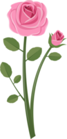 ilustração de design de clipart de elementos rosa png