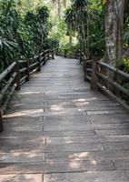 camino de tablones de ladrillo en el puente peatonal. foto