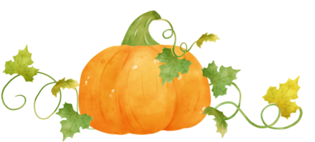 cute watercolor Halloween autumn pumpkins with face and vines cartoon hand drawn png