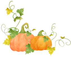 lindas calabazas de otoño de halloween de acuarela con cara y vides dibujadas a mano de dibujos animados png